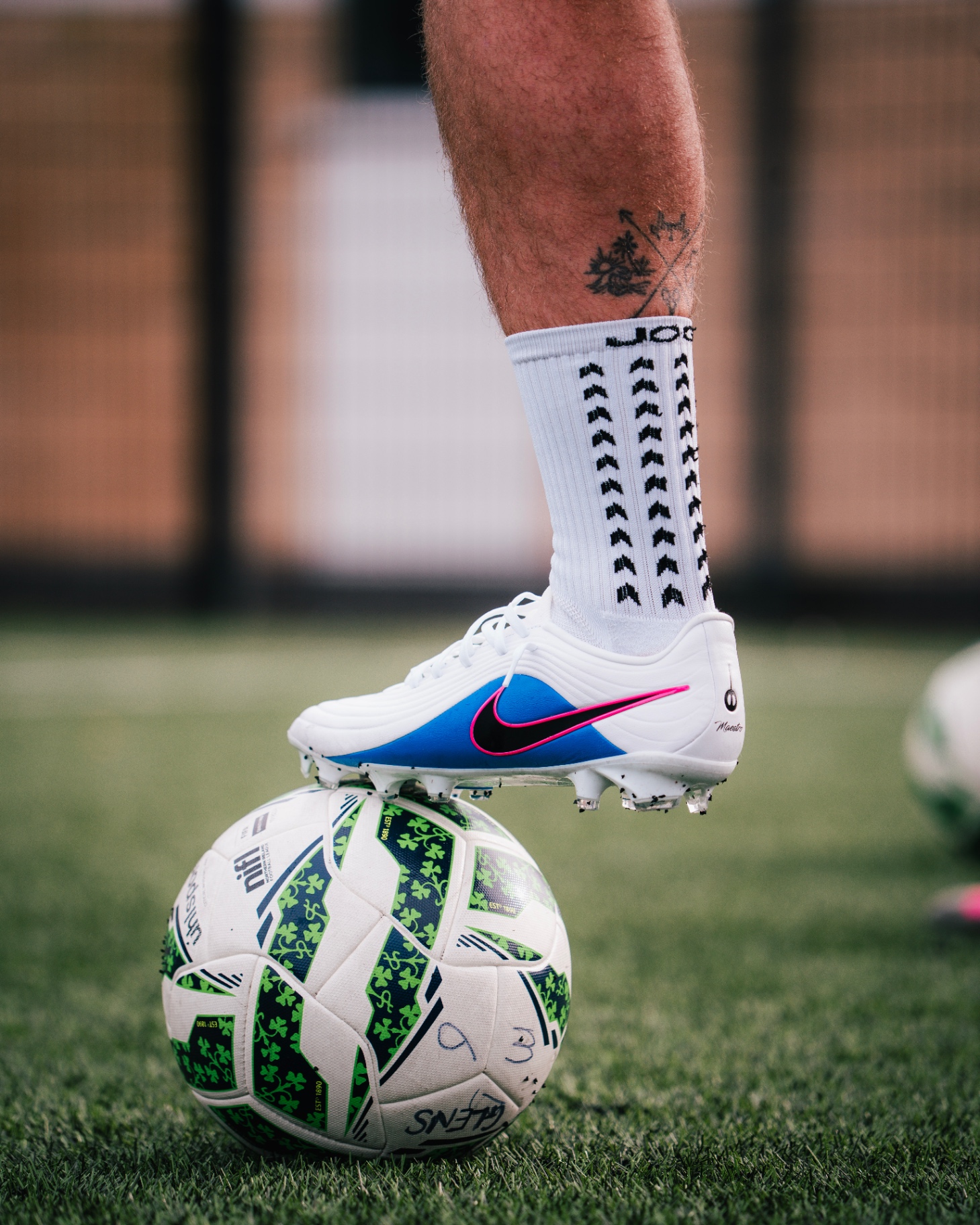 Player with the ball at his feet during a professional training session